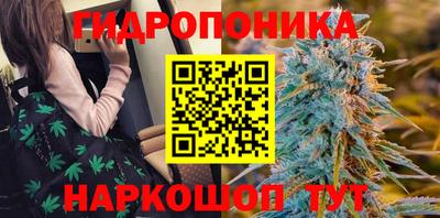 ешки Кингисепп