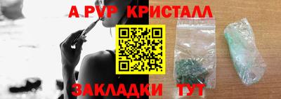 ешки Кингисепп