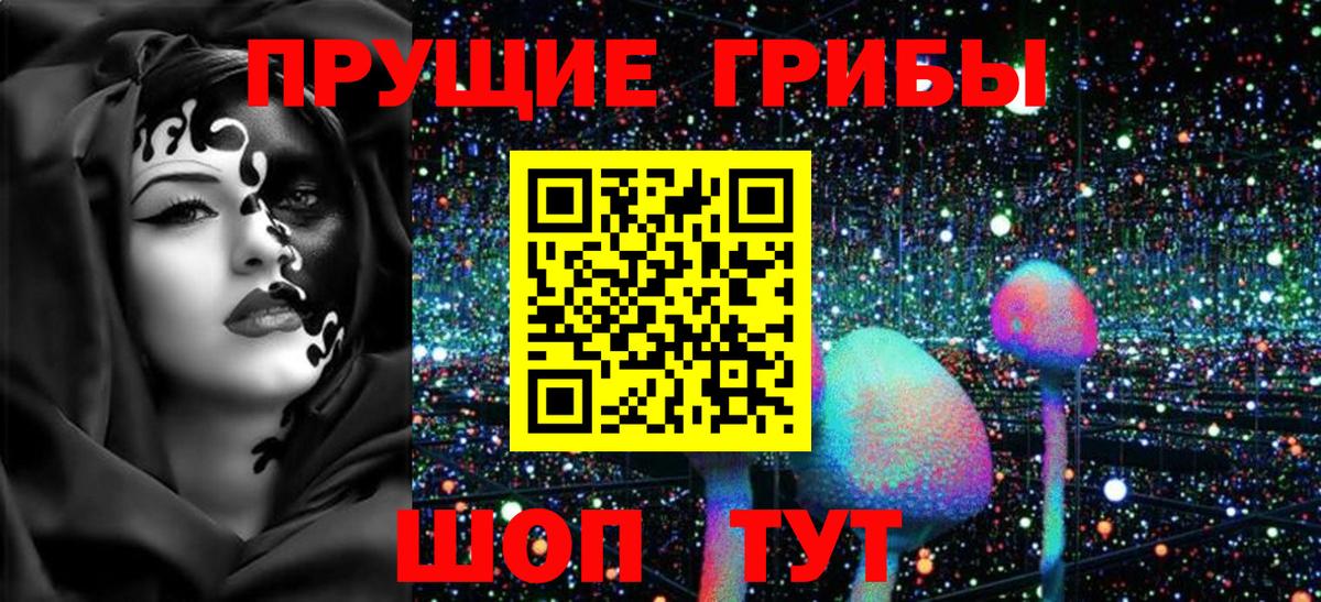 Псилоцибиновые грибы MAGIC MUSHROOMS Кстово
