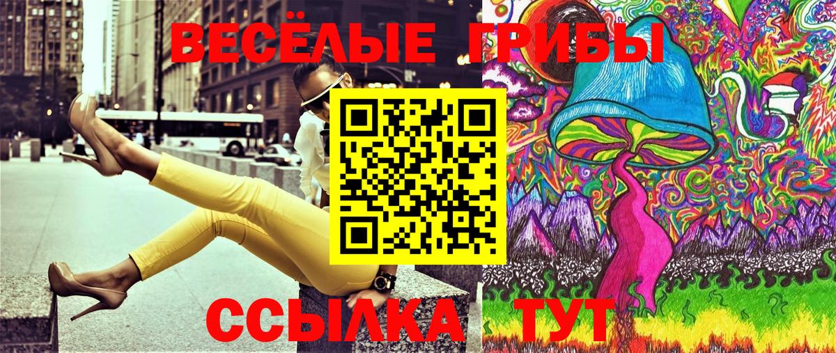Псилоцибиновые грибы GOLDEN TEACHER  Вход с VPN  Кстово 